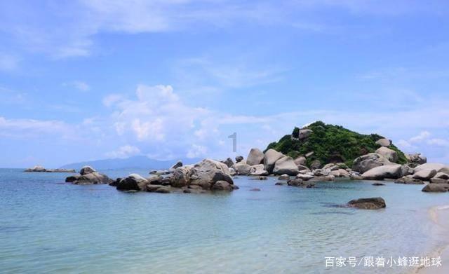 森林的奇迹