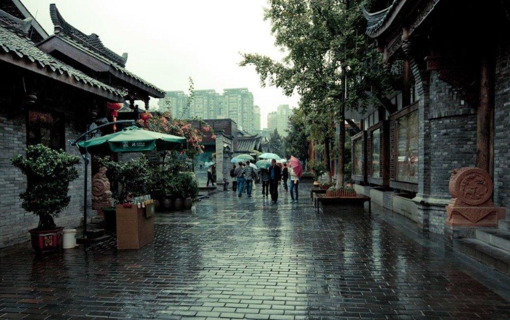 壁虎怕光吗？游戏画面
